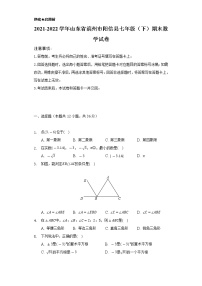 2021-2022学年山东省滨州市阳信县七年级（下）期末数学试卷（Word解析版）