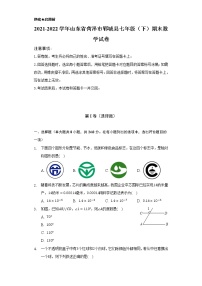 2021-2022学年山东省菏泽市郓城县七年级（下）期末数学试卷（Word解析版）