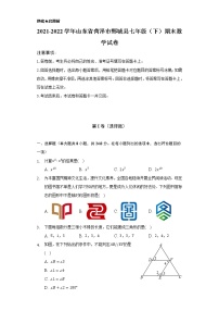 2021-2022学年山东省菏泽市鄄城县七年级（下）期末数学试卷（Word解析版）