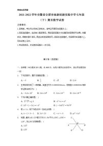 2021-2022学年安徽省合肥市高新创新实验中学七年级（下）期末数学试卷（Word解析版）