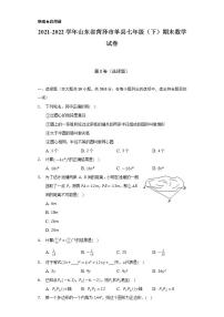 2021-2022学年山东省菏泽市单县七年级（下）期末数学试卷（Word解析版）