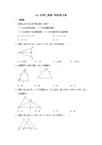 浙教版八年级上册1.4 全等三角形课时作业