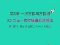 沪科版七年级上册3.3二元一次方程组及其解法教学ppt课件