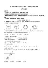 陕西省咸阳市武功县2021-2022学年七年级下学期期末考试数学试题(word版含答案)