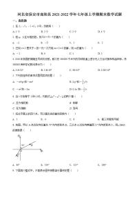 河北省保定市高阳县2021-2022学年七年级上学期期末数学试题(word版含答案)
