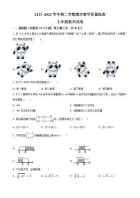 广东省惠州市惠东县2021-2022学年七年级下学期期末数学试题(word版含答案)