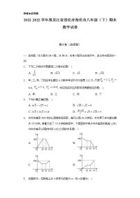 2021-2022学年黑龙江省绥化市海伦市八年级（下）期末数学试卷（Word解析版）