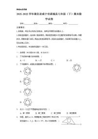 2021-2022学年湖北省咸宁市通城县七年级（下）期末数学试卷(解析版)