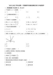 湖南省岳阳市华容县2021-2022年七年级上学期期末数学试题(word版含答案)