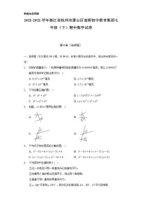 2021-2022学年浙江省杭州市萧山区高桥初中教育集团七年级（下）期中数学试卷（Word解析版）