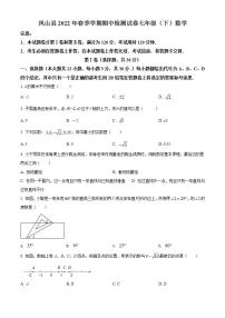 广西壮族自治区河池市凤山县2021-2022学年七年级下学期期中数学试题(word版含答案)