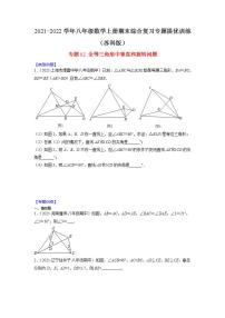 专题02 全等三角形中垂直和旋转问题-2021-2022学年八年级数学上册期末综合复习专题提优训练（苏科版）