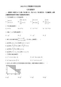 湖南省邵阳市武冈市2021-2022学年七年级下学期期中数学试题(word版含答案)