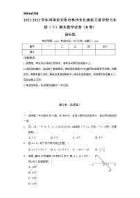 2021-2022学年河南省安阳市林州市红旗渠大道学校七年级（下）期末数学试卷（B卷）（Word解析版）