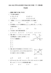 2021-2022学年山东省济宁市金乡县八年级（下）期末数学试卷(解析版)