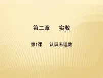 初中数学北师大版八年级上册1 认识无理数多媒体教学ppt课件