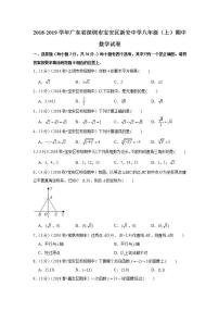 2018-2019学年广东省深圳市宝安区新安中学八年级（上）期中数学试卷