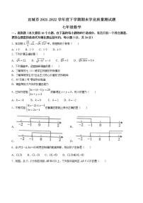 湖北省襄阳市宜城市2021-2022学年七年级下学期期末数学试题(word版含答案)