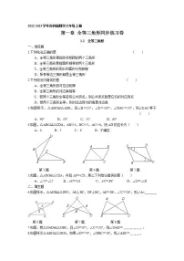 初中数学苏科版八年级上册第一章 全等三角形1.2 全等三角形精练