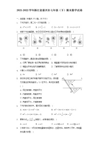 2021-2022学年浙江省嘉兴市七年级（下）期末数学试卷（Word解析版）