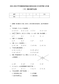 2021-2022学年湖南省娄底市新化县东方文武学校七年级（下）期末数学试卷（Word解析版）