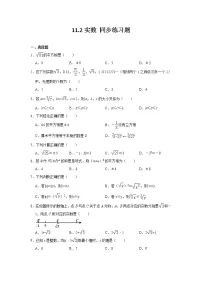 初中华师大版11.2 实数习题