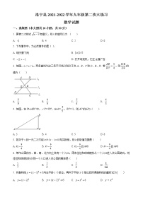 河南省洛阳市洛宁县2021-2022学年九年级上学期期末数学试题(word版含答案)