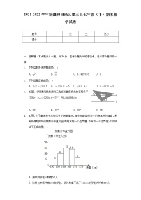 2021-2022学年新疆和田地区墨玉县七年级（下）期末数学试卷（Word解析版）