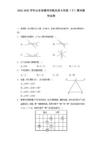 2021-2022学年山东省德州市临邑县七年级（下）期末数学试卷（Word解析版）