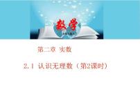 初中数学北师大版八年级上册1 认识无理数教学课件ppt