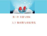 数学八年级上册3 轴对称与坐标变化教学课件ppt