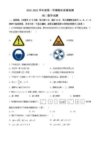 山东省烟台市牟平区2021-2022学年七年级上学期期末数学试题(word版含答案)