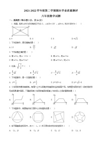 山东省菏泽市成武县2021-2022学年八年级下学期期末数学试题(word版含答案)