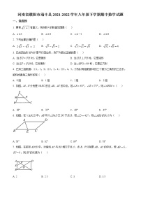 河南省濮阳市清丰县2021-2022学年八年级下学期期中数学试题(word版含答案)