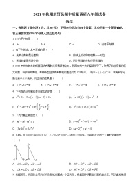 河南省南阳市新野县2021-2022学年八年级上学期期中数学试题(word版含答案)