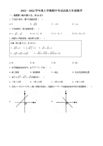 江西省九江市湖口县2021-2022学年八年级上学期期中数学试题(word版含答案)