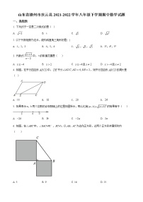 山东省德州市庆云县2021-2022学年八年级下学期期中数学试题(word版含答案)