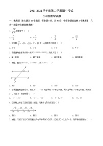 河北省保定市定州市2021-2022学年七年级下学期期中数学试题(word版含答案)