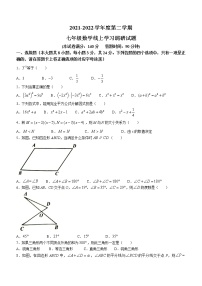 江苏省徐州市丰县2021-2022学年七年级下学期期中数学试题(word版无答案)