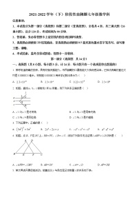 陕西省咸阳市泾阳县2021-2022学年七年级下学期期中数学试题(word版含答案)