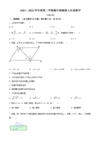 甘肃省定西市岷县2021-2022学年七年级下学期期中数学试题(word版含答案)