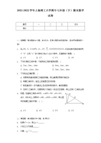 2021-2022学年上海理工大学附中七年级（下）期末数学试卷（Word解析版）