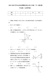 2021-2022学年山东省淄博市桓台县八年级(下)期末数学试卷(五四学制)(Word解析版)