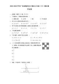 2021-2022学年广东省梅州市大埔县七年级（下）期末数学试卷（Word解析版）