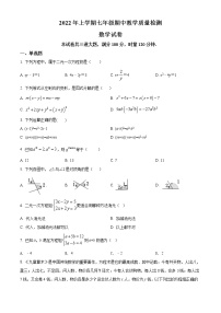 湖南省张家界市桑植县2021-2022学年七年级下学期期中数学试题(word版含答案)