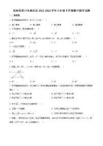 河南省周口市鹿邑县2021-2022学年七年级下学期期中数学试题(word版含答案)