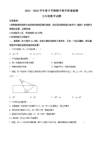 山东省泰安市肥城市2021-2022学年七年级下学期期中数学试题(word版含答案)