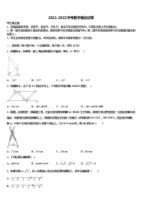 2022年宁夏宽口井中学石油希望校中考一模数学试题含解析