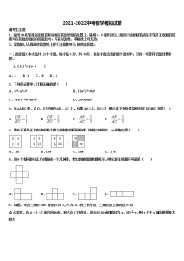 2022年辽宁省营口市大石桥市石佛中学中考适应性考试数学试题含解析