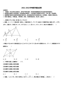 2022年山东省兰陵县中考数学对点突破模拟试卷含解析